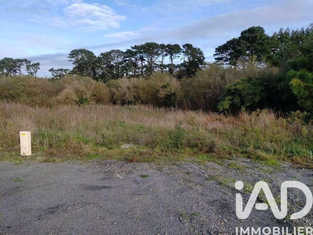 Photo 3 - Terrain à LESNEVEN