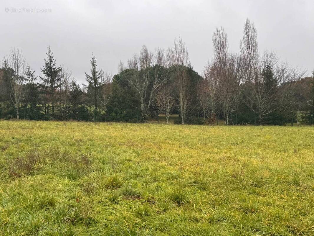 Terrain à MENSIGNAC