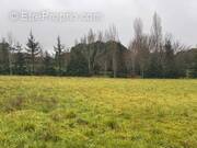 Terrain à MENSIGNAC