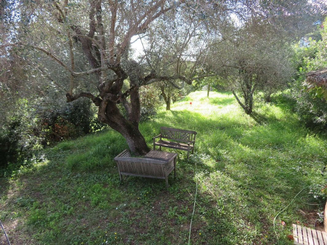 Maison à PORTO-VECCHIO