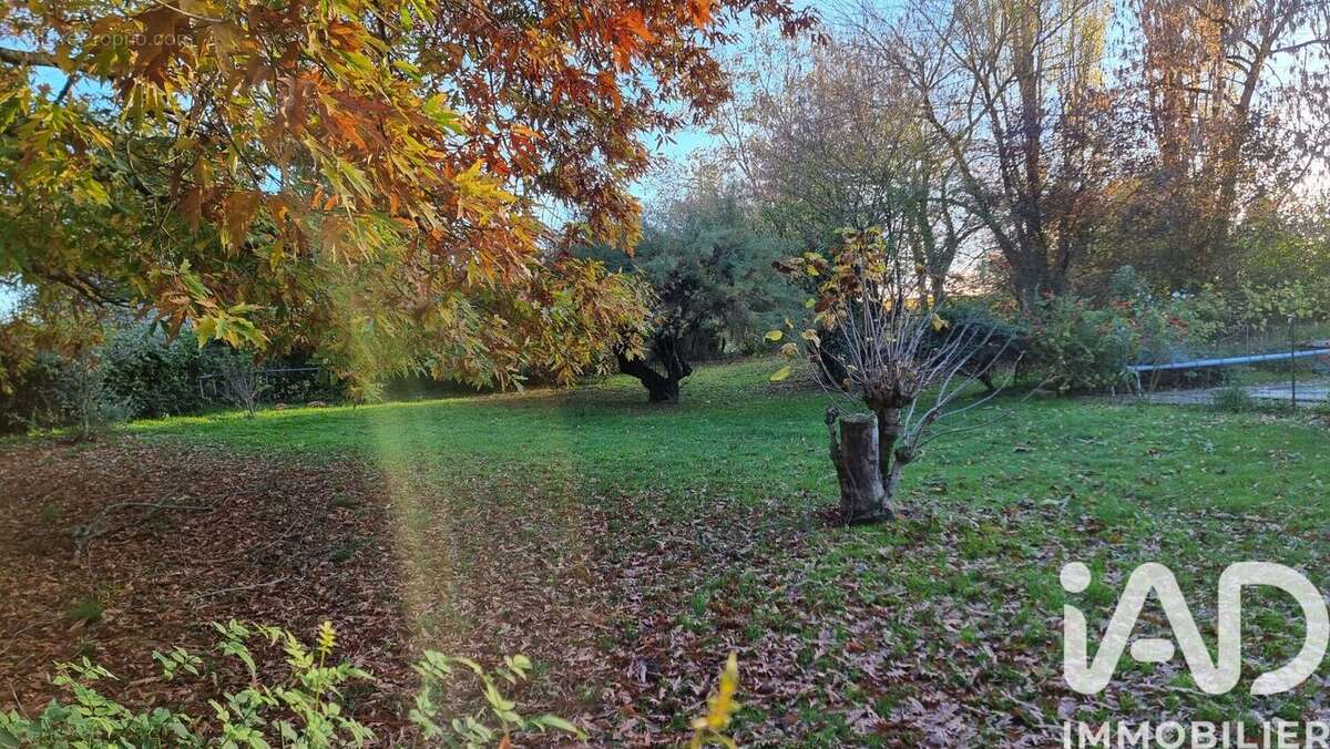 Photo 7 - Maison à SAINT-PEY-DE-CASTETS