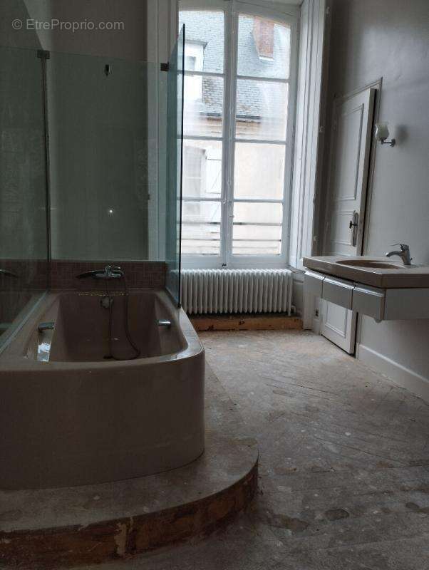 GRANDE MAISON FAMILIALE 420 m2 hotel particulier centre historisque Châteaudun - photo 10