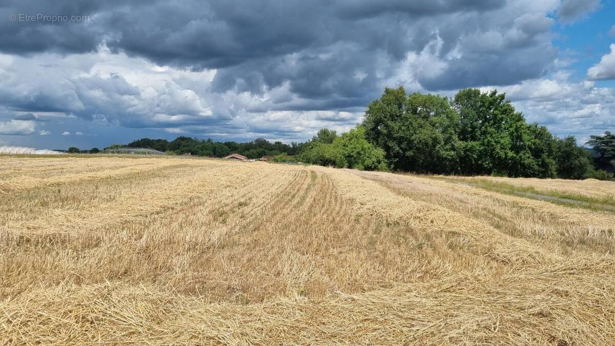 Terrain à SAINTE-ALVERE