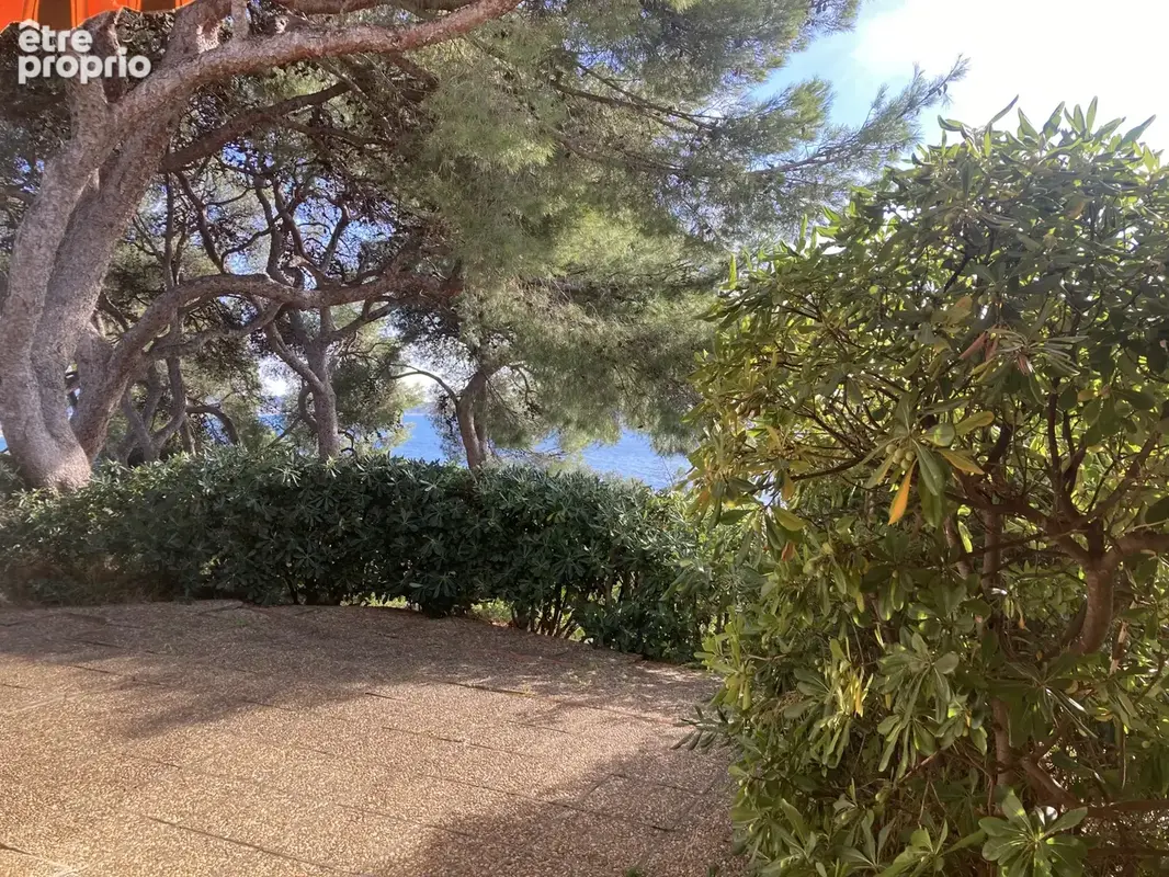 HYÈRES   ALMANARRE / COSTEBELLE T2 vue mer terrasse et jardin - photo 17