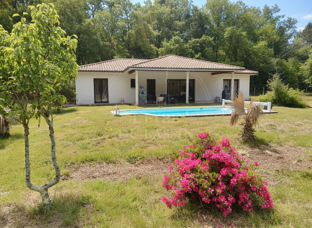 Maison à SALLES 131 m2 sur parcelle agricole de plus de 12000 m² - photo 2