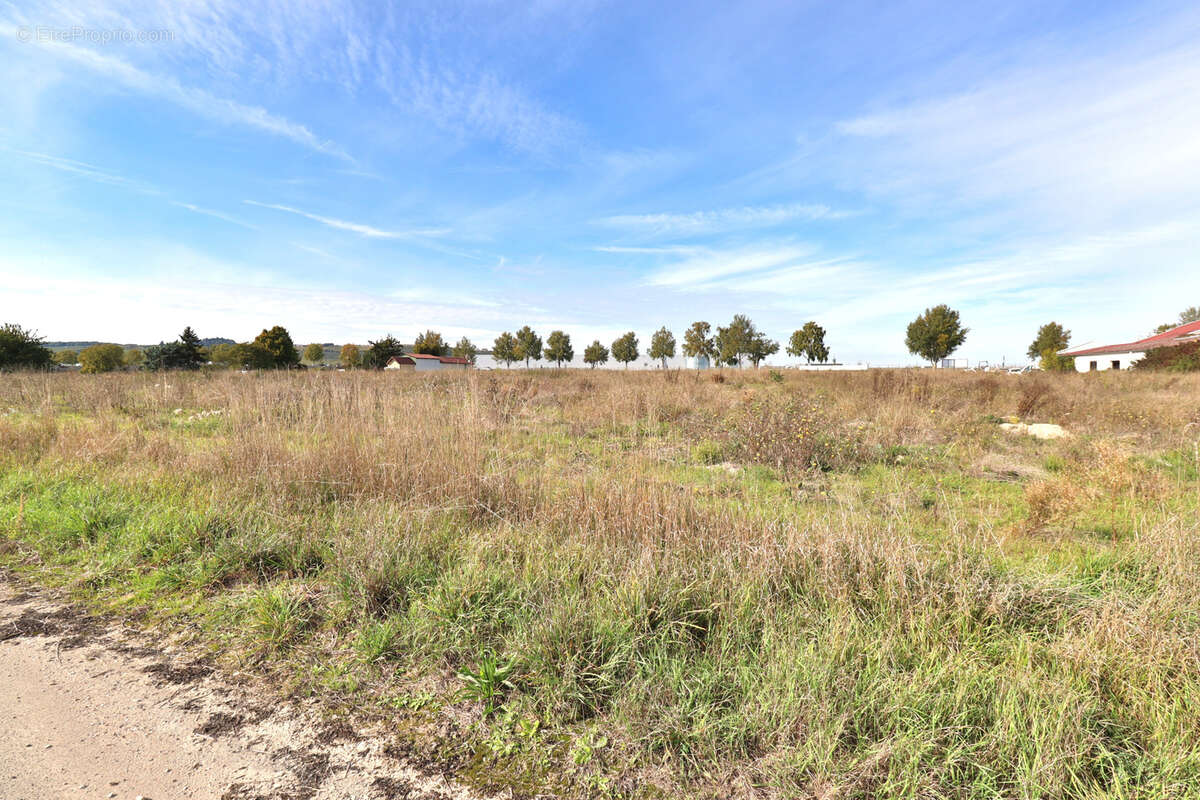 Terrain à LA RIVIERE-DE-CORPS