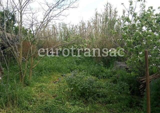 Terrain à NEZIGNAN-L&#039;EVEQUE