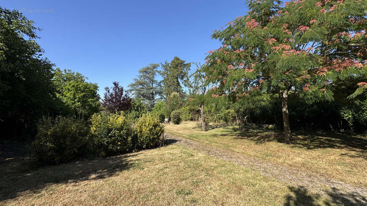 Vente en Exclusivité à Pontaubert - Charmante Maison de caractère avec jardin de 1467 m2 au prix de 235 400 €. - photo 33