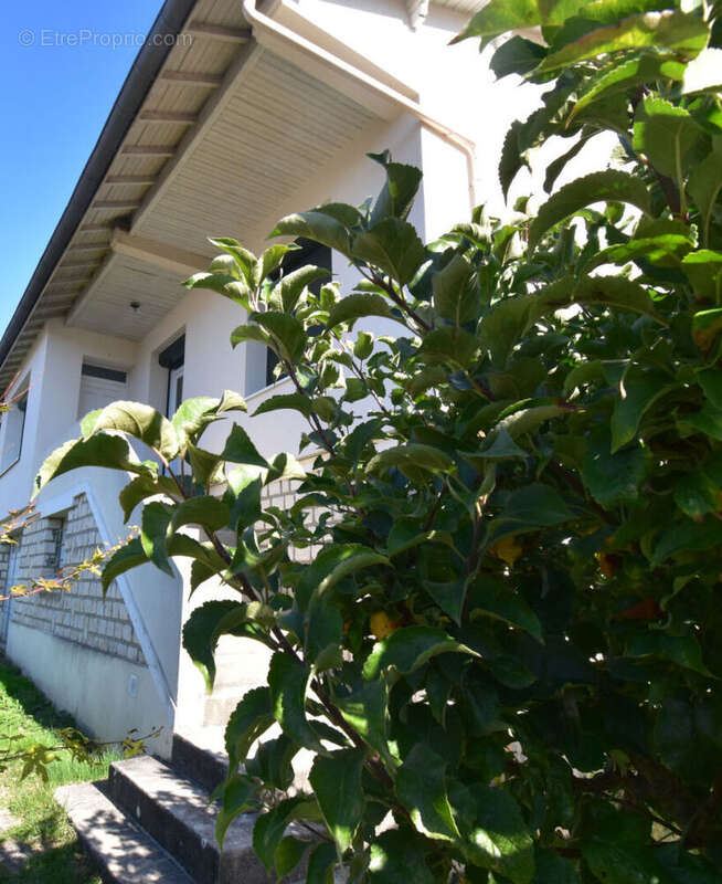 DSC_0011 - Maison à L&#039;ISLE-D&#039;ESPAGNAC