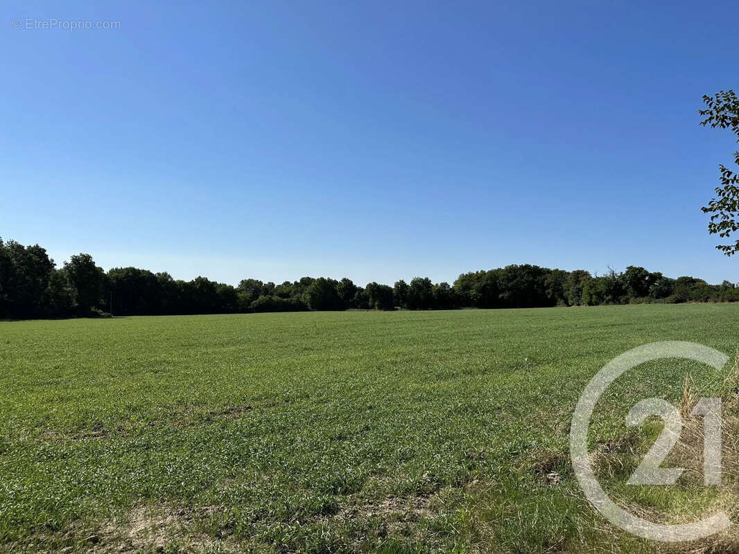 Maison à SURY-ES-BOIS