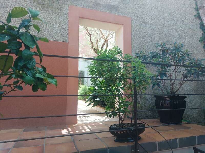 Maison à ALBI