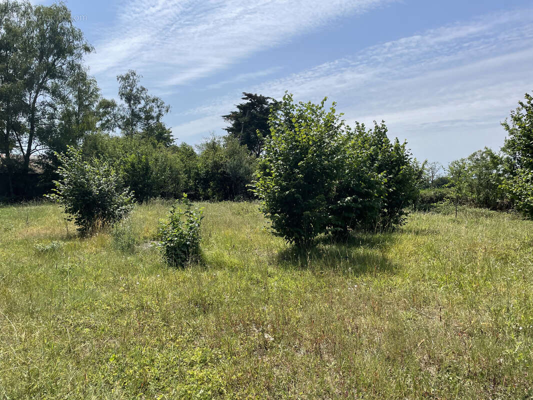 Maison 3 chambres grand terrain - photo 10