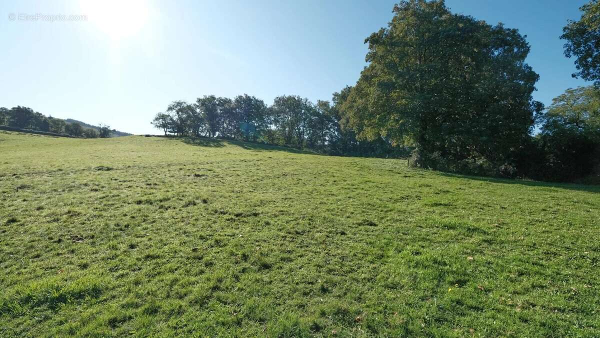 Maison à SAINT-MARTIN-DU-PUY