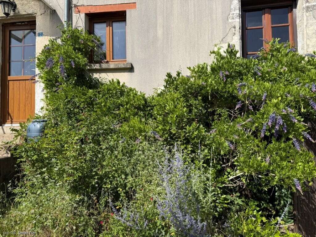 Petite Maison de Ville à Champagne Mouton - photo 12