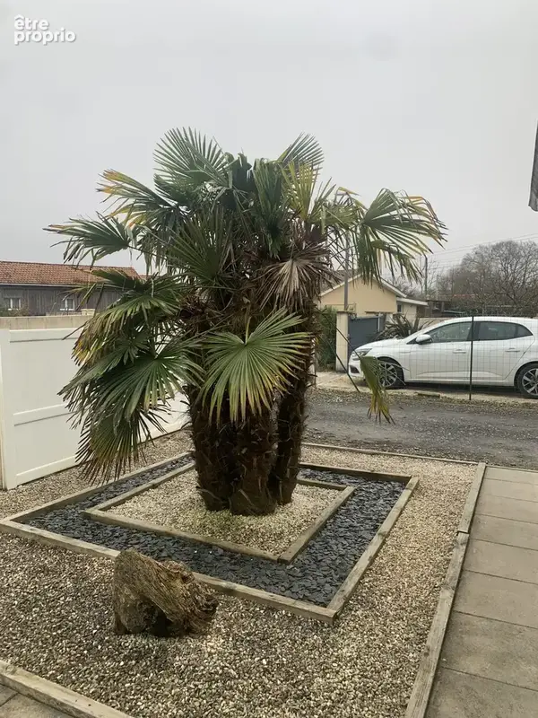 Maison 4 pièces 90 m² à vendre à Le Teich (33470) - photo 2