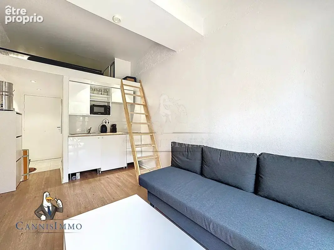 Cannes limite banane - studio grand jardin - photo 5