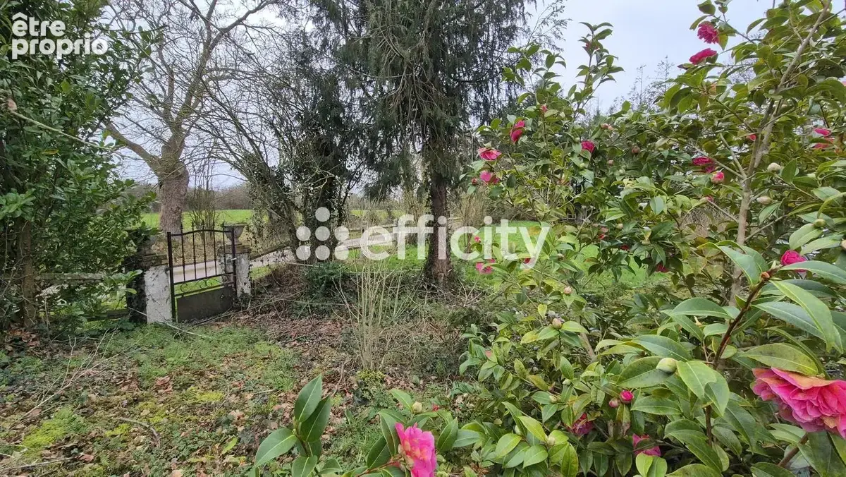 Maison 10 pièces 207 m² à vendre à Mandeville-En-Bessin (14710) - photo 24