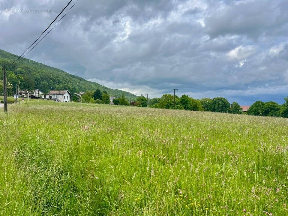 Terrain à CORBONOD
