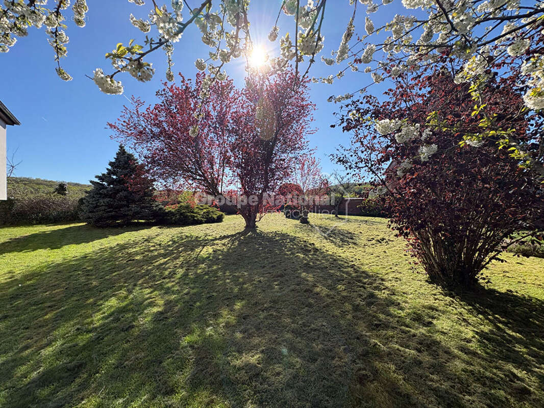 Terrain à RAINVILLERS