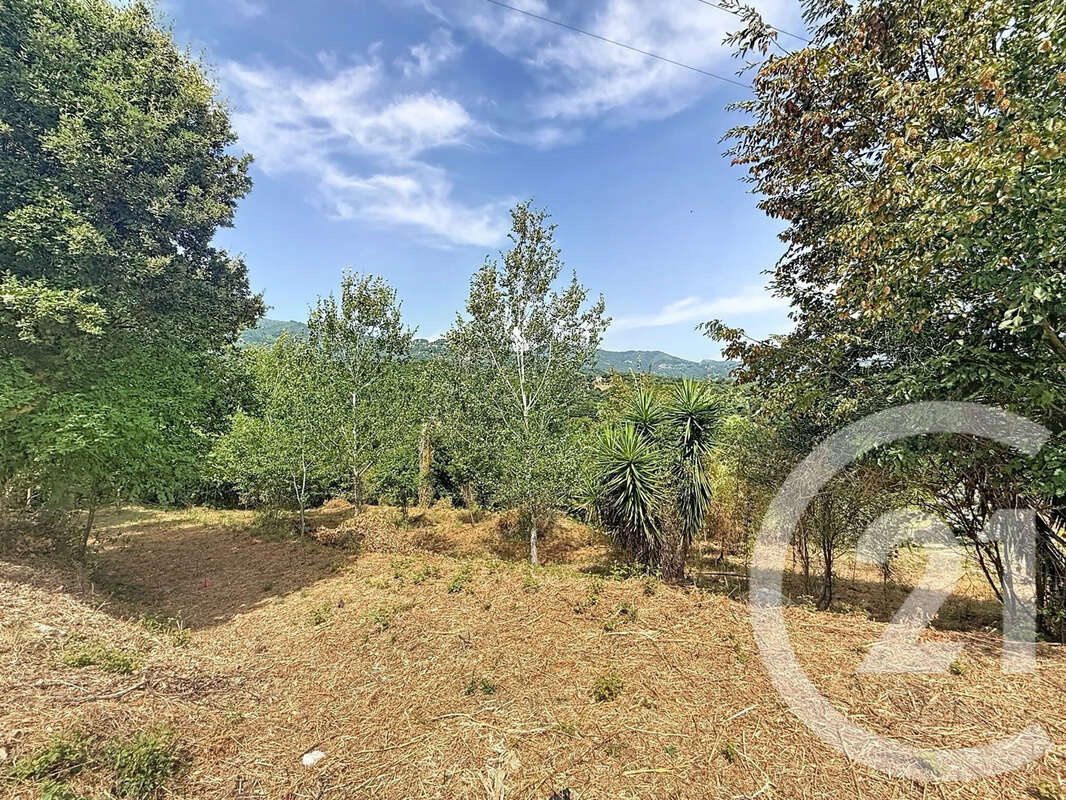 Terrain 2000 m² à San-Nicolao  - photo 6