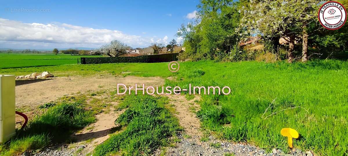 Terrain à SAINT-BERNARD