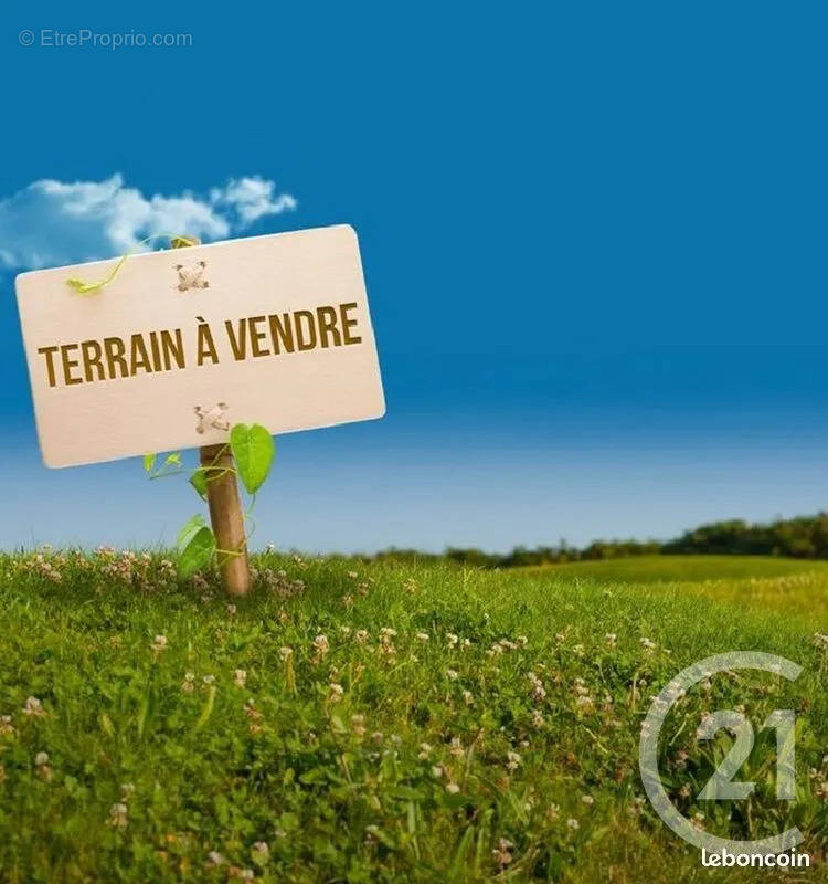 Terrain à SAINT-THURIEN