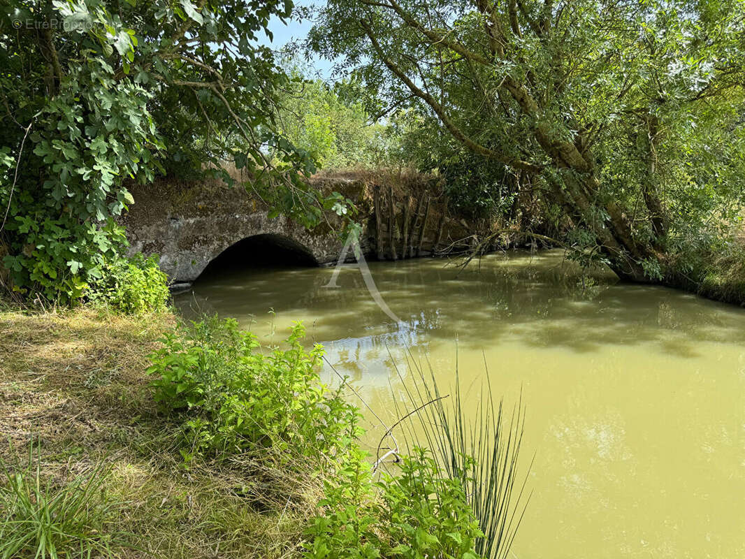 Authentique corps de ferme en pierres  - Plus de 11 hectares  - Un havre de paix aux portes de La Rochelle - photo 4