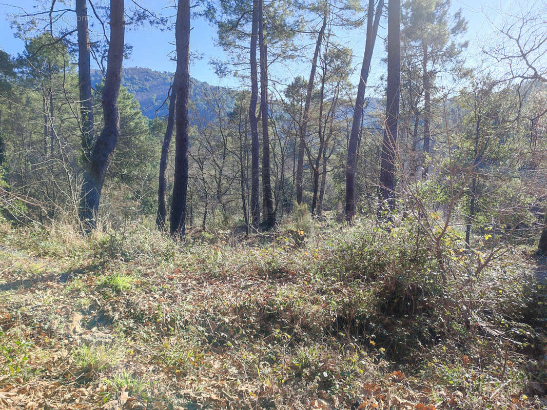 Terrain à LAVAL-PRADEL