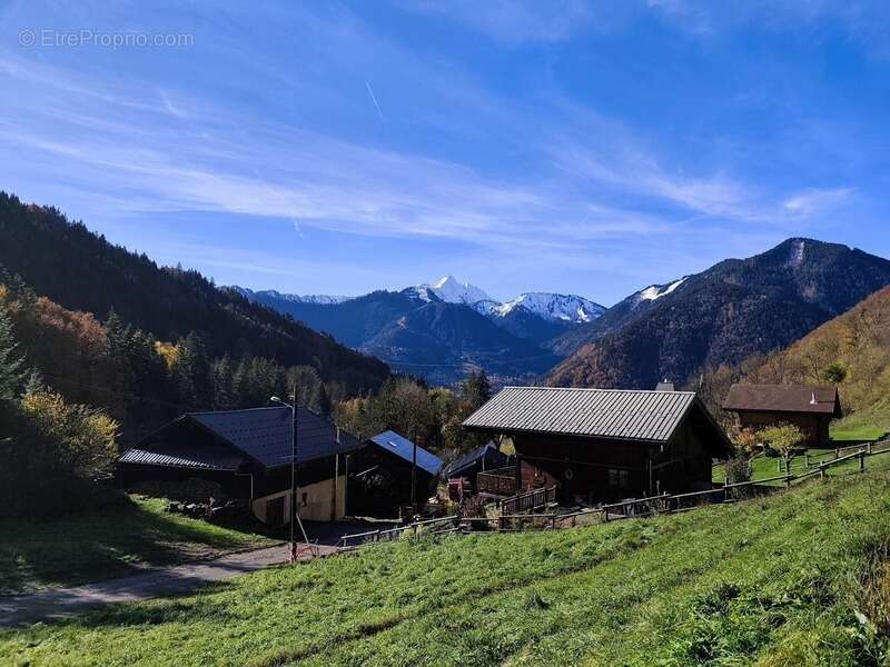 Terrain à MORZINE