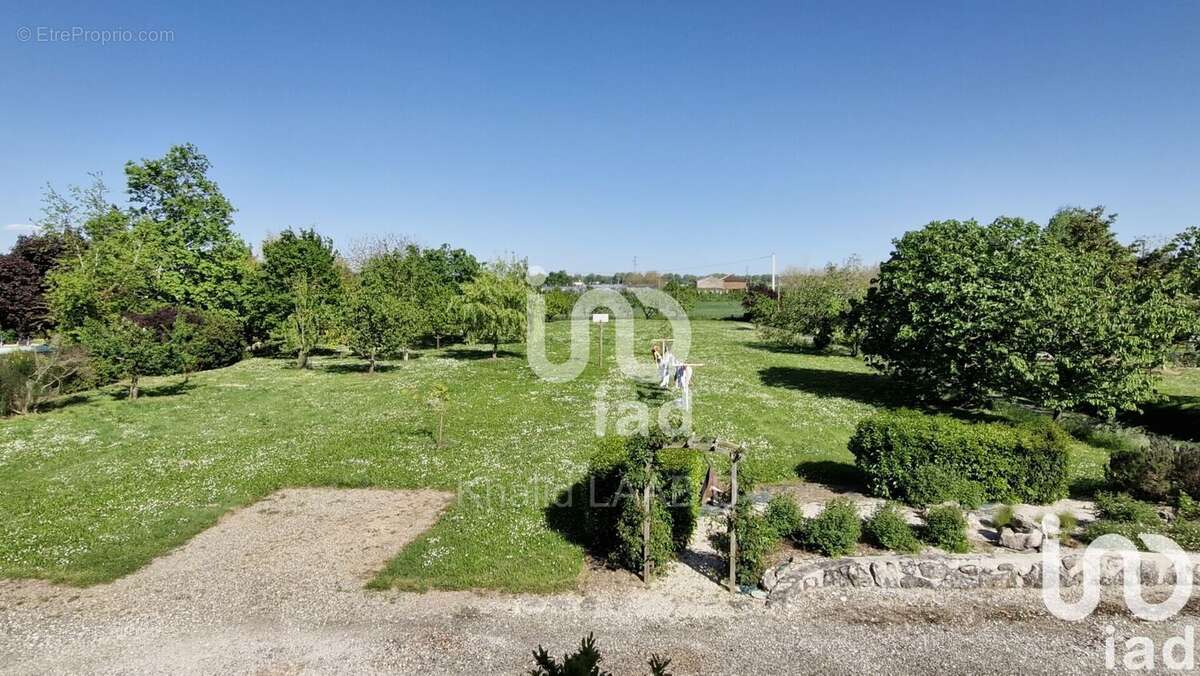 Photo 4 - Appartement à MOISSAC