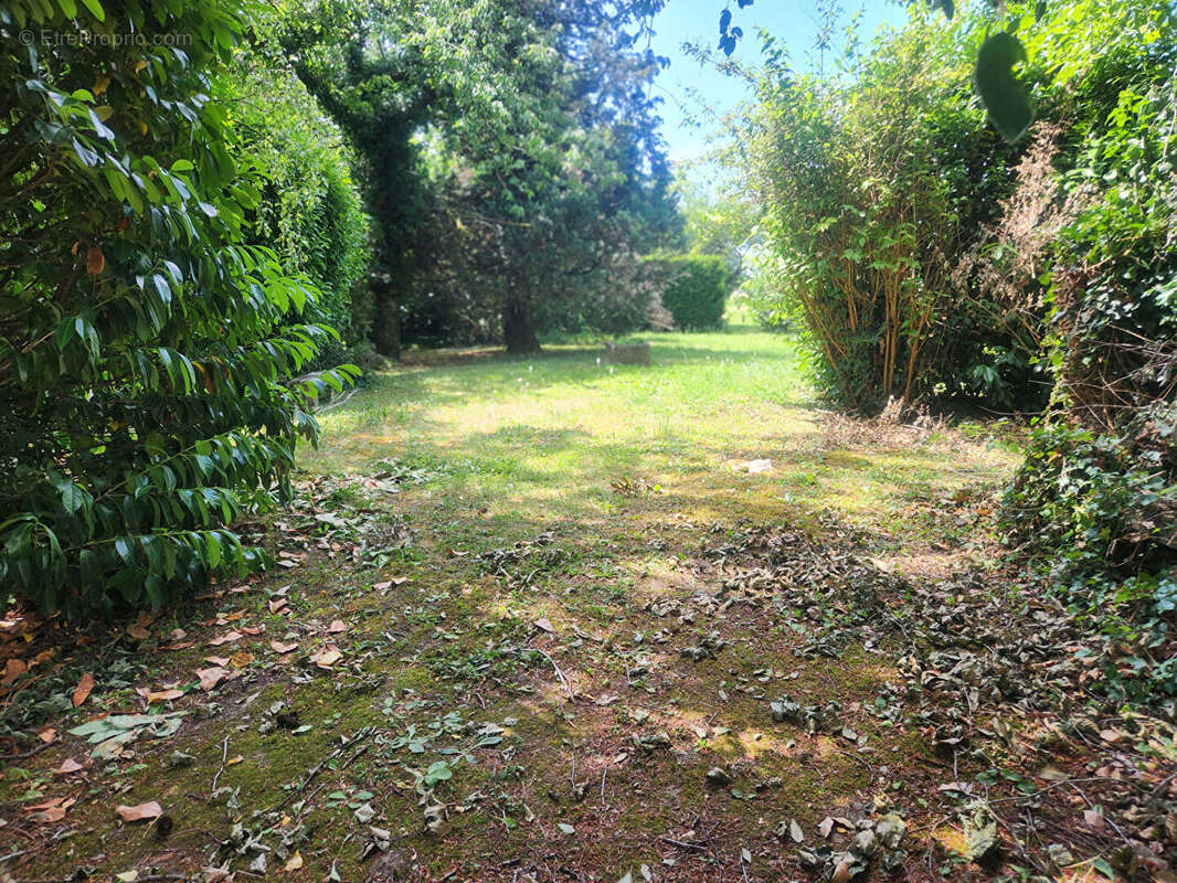 Terrain à SAINT-AUBIN