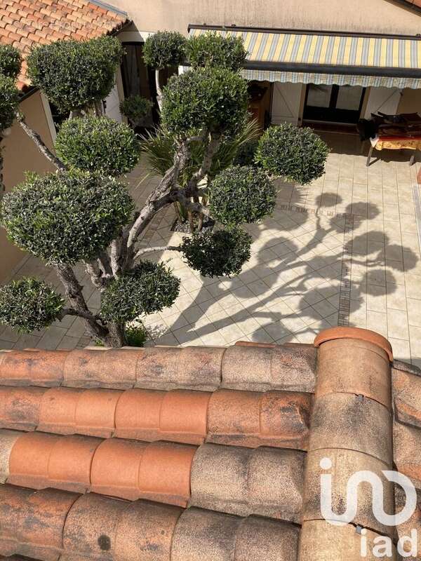 Photo 5 - Maison à LAFITTE-VIGORDANE