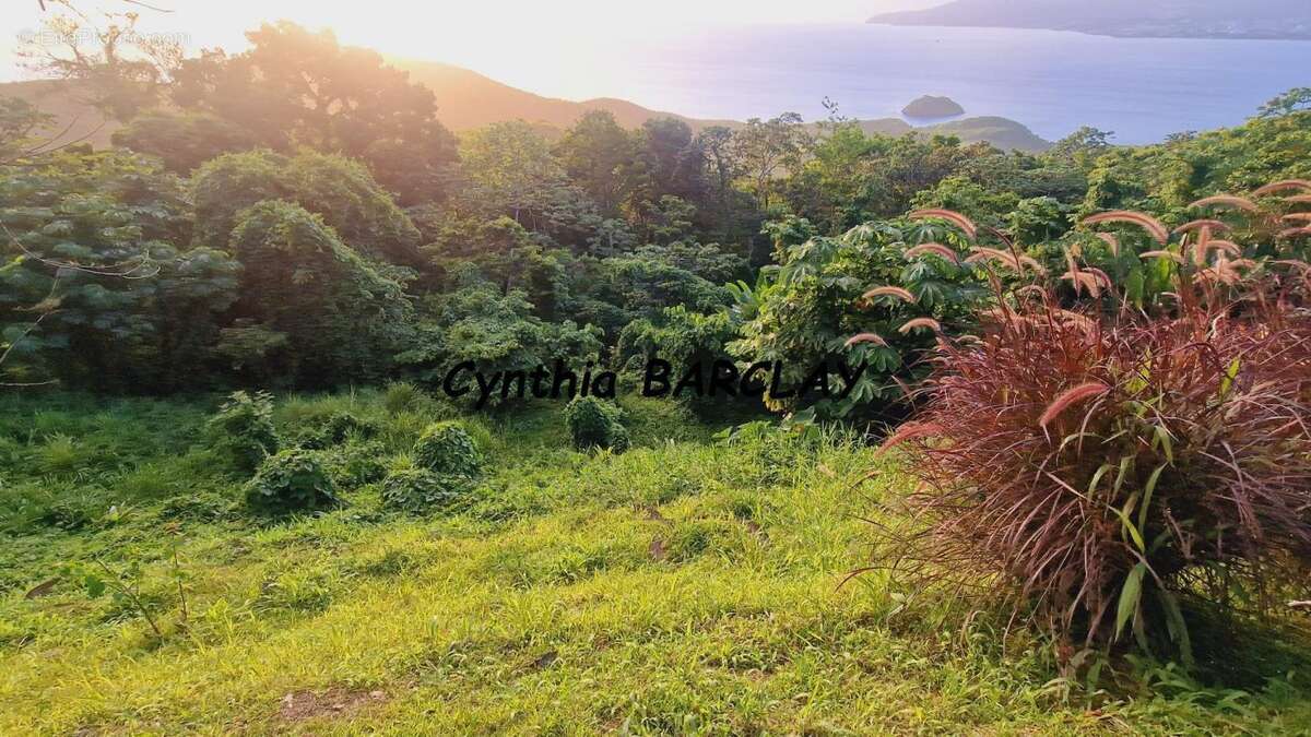 Maison à LES ANSES-D&#039;ARLET