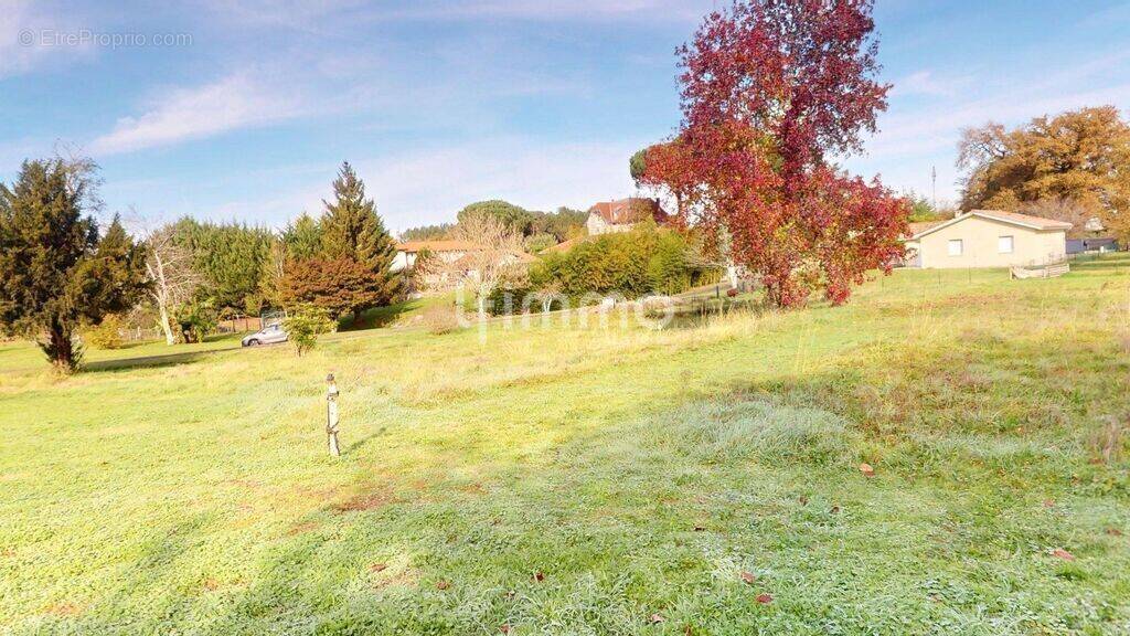 Terrain à RION-DES-LANDES