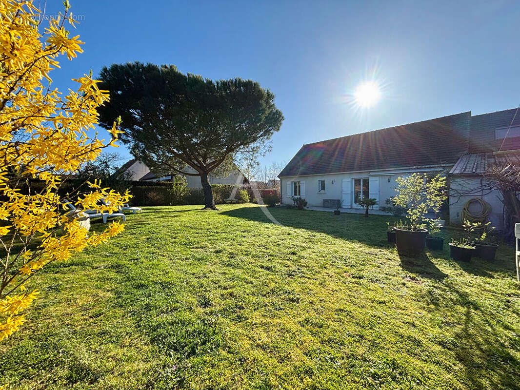 Maison à CONTRES
