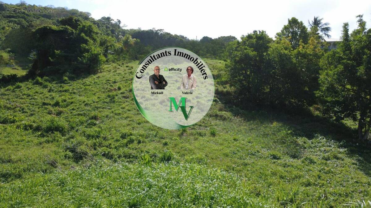 Terrain à LE VAUCLIN