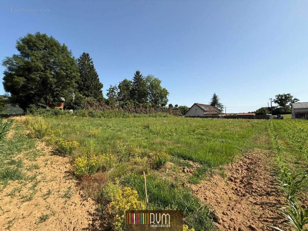 Terrain à SIMANDRE-SUR-SURAN