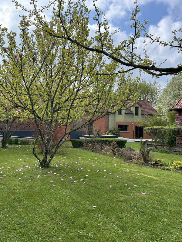 Maison à POMMERA