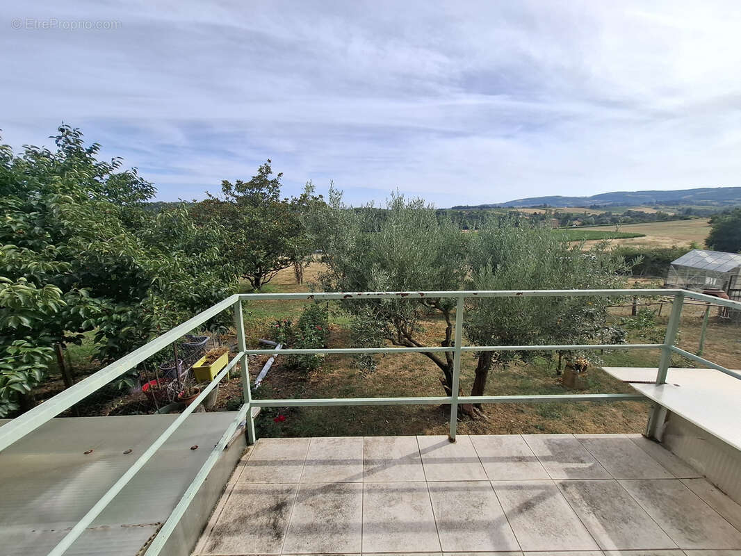 Propriété rare à Gleizé   Plus de 150 m2 habitables, dépendances, jardin et 27 000 m2 de terrains agricoles - photo 8