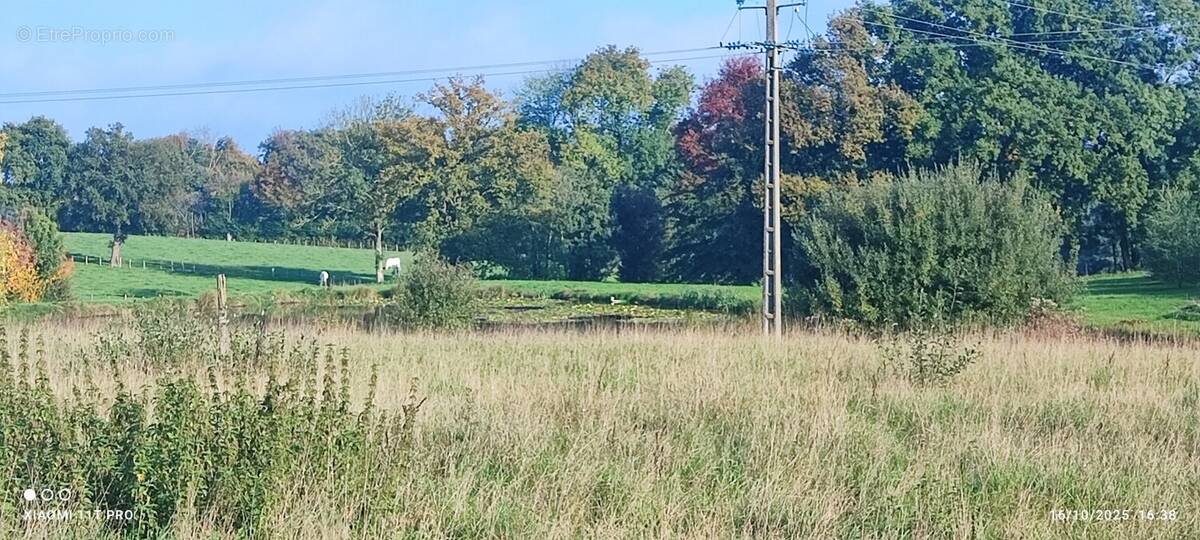 Terrain à CHANOZ-CHATENAY