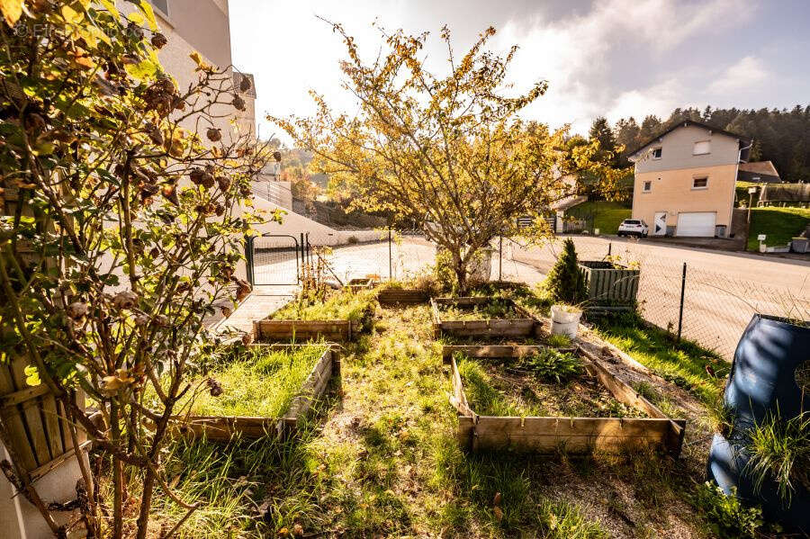 Maison à MONTPERREUX