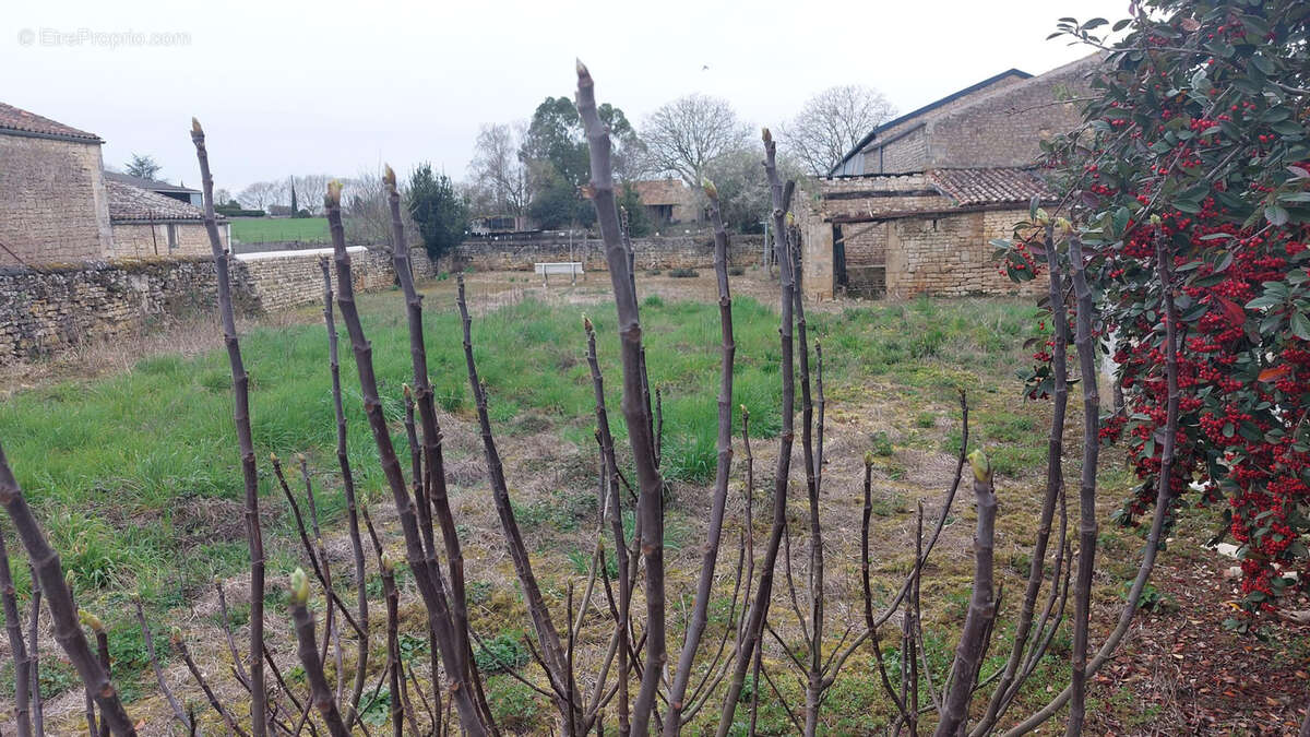 Terrain à VILLIERS-EN-PLAINE