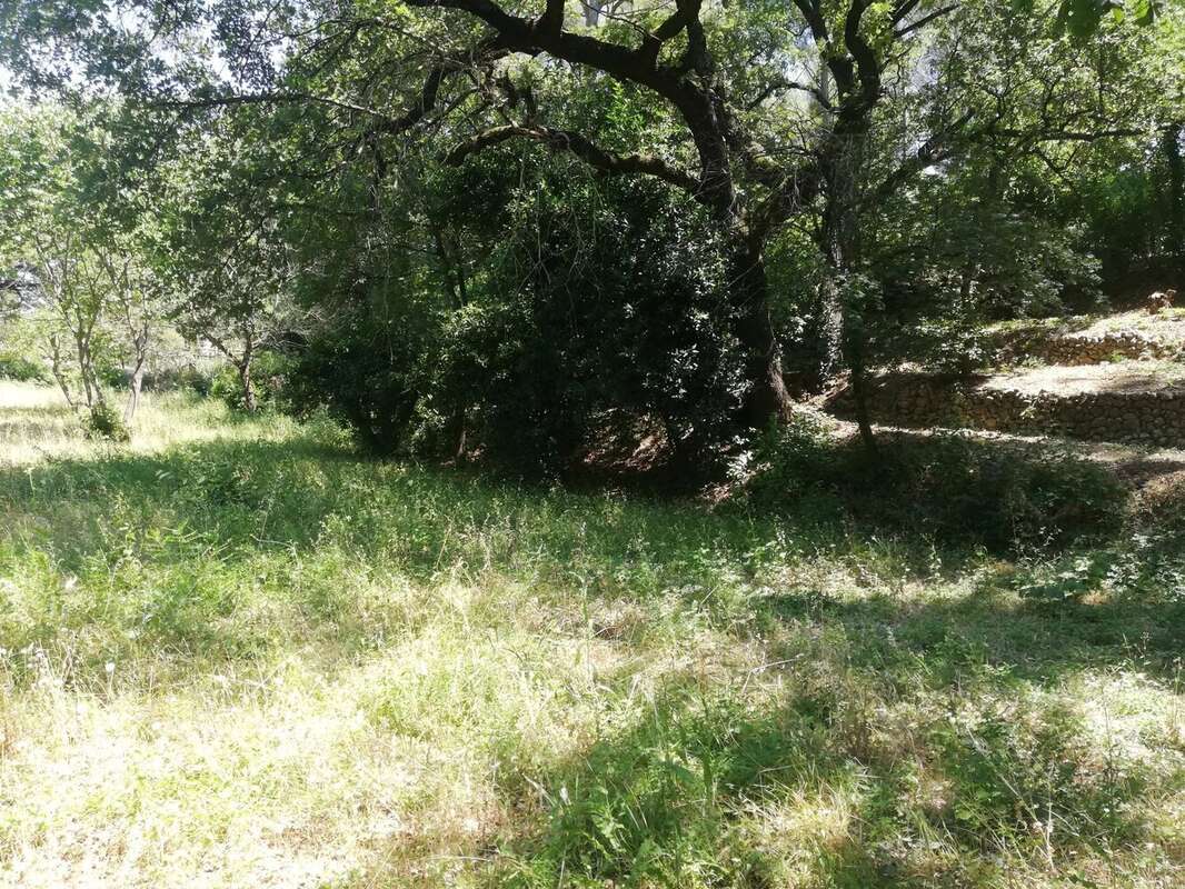 Terrain de 9 000 m² à aubagne - 950 000 € - photo 7