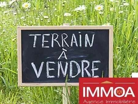 Terrain à SAINT-BENOIT