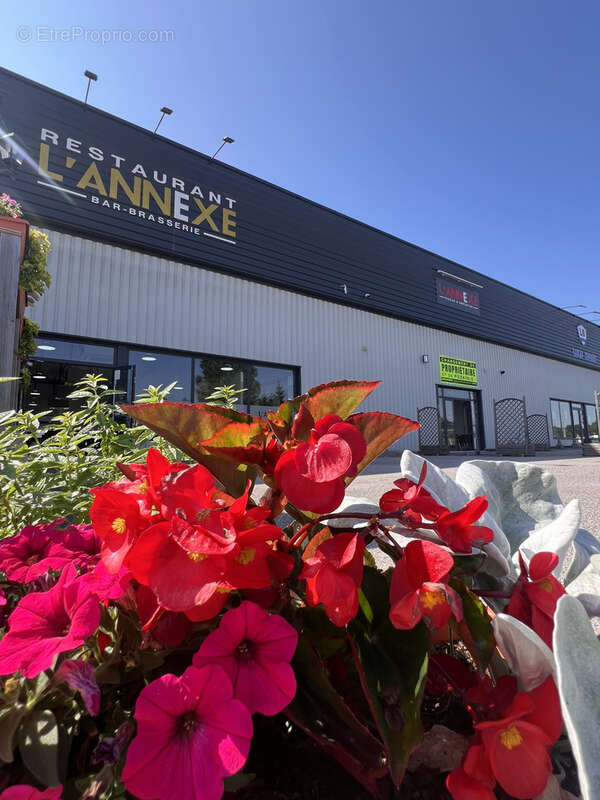 Commerce à CHAVELOT