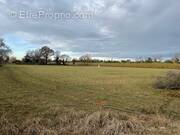 Terrain à SAINT-MARTIN-DE-CRAU