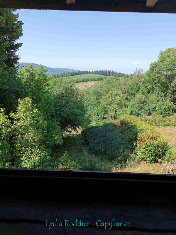 Fermette 10 pièces - grande grange - Rare à SAINT VICTOR MONTVIANEIX (63550) en Auvergne-Rhône Alpes - photo 20