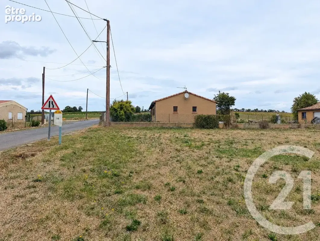 Terrain 1 012 m² à vendre à Noailles (81170) - photo 6