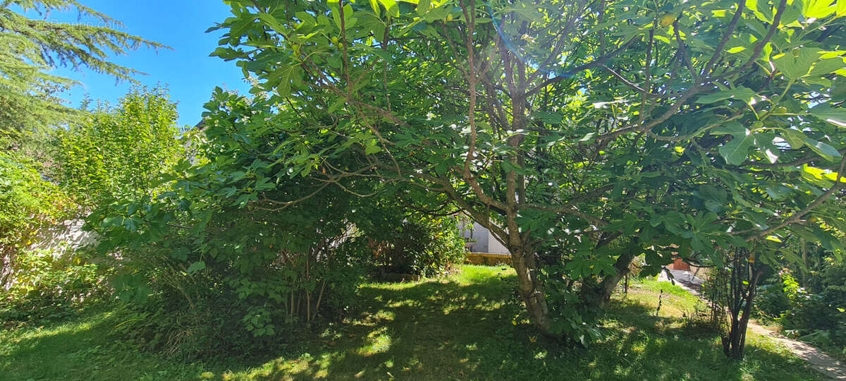 Maison à TREMBLAY-EN-FRANCE