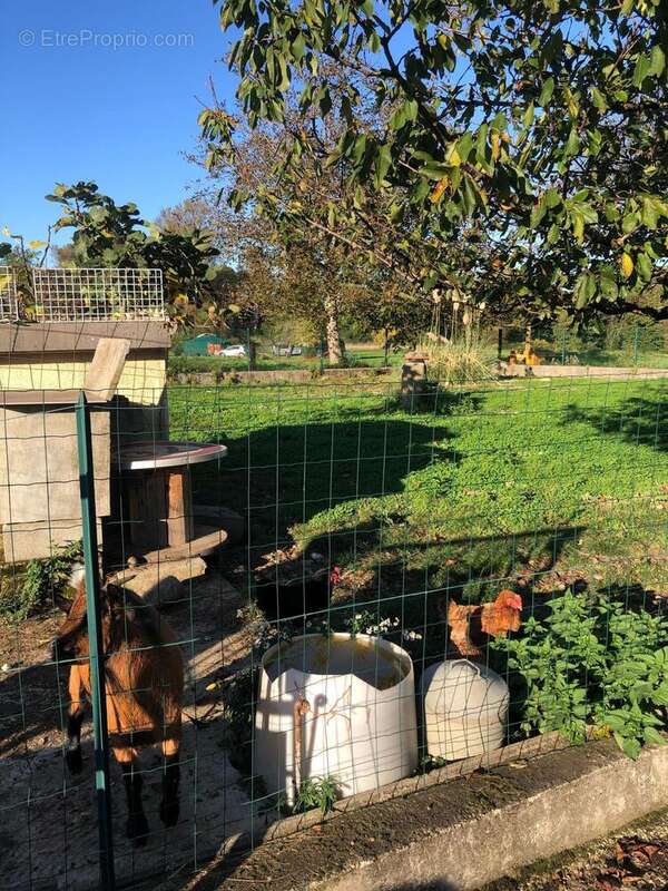 Photo 6 - Maison à SOUES